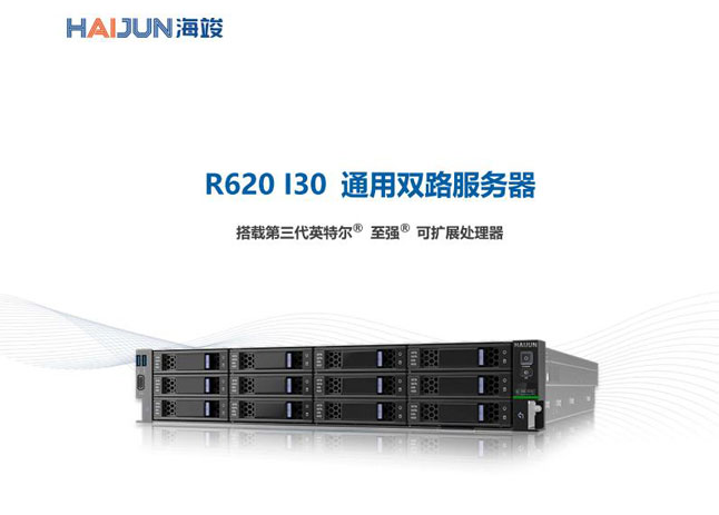 R620 I30 系列 通用服务器