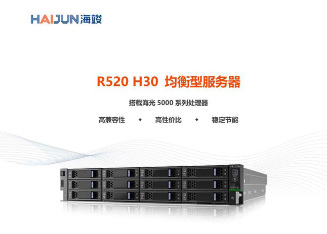 R520 H30 均衡型服务器