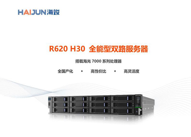 R620 H30 系列全能型服务器