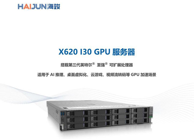 X620 I30 系列 GPU 服务器