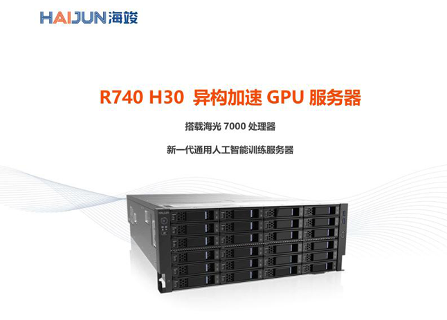 R740 H30 异构加速GPU服务器