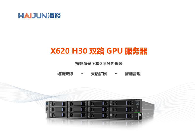 X620 H30 双路 GPU 服务器 
