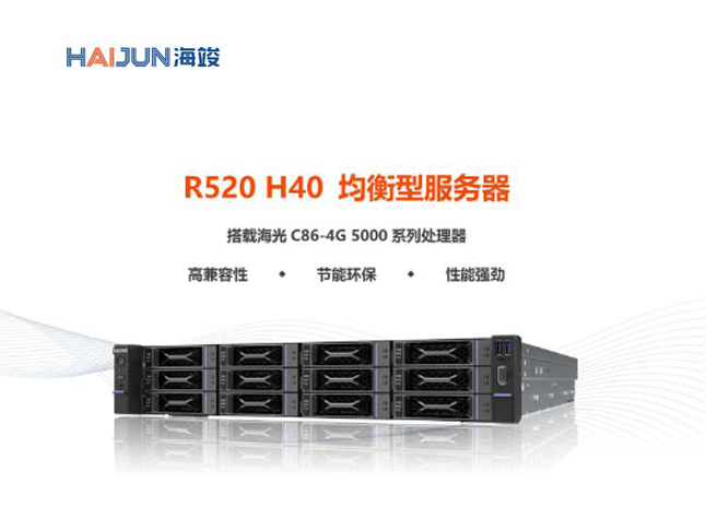 R520 H40 均衡型服务器