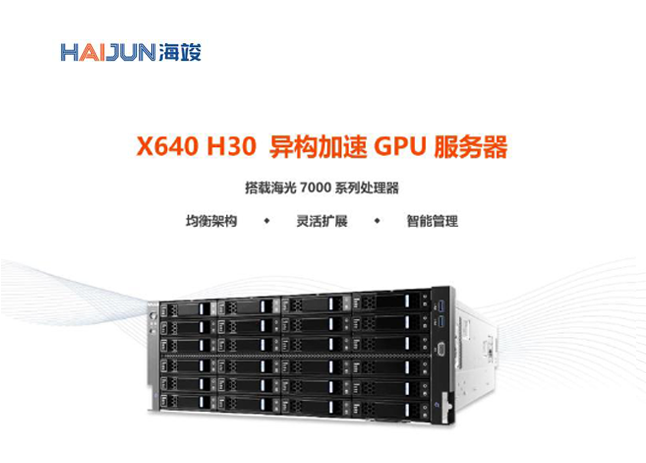 X640 H30  异构加速 GPU 服务器 